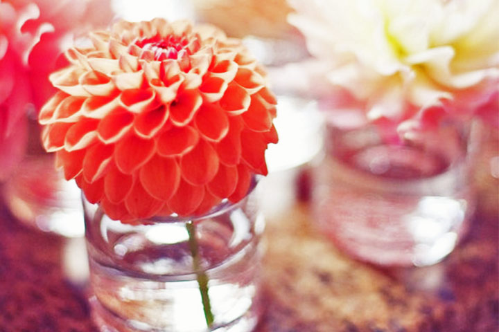 10 Cheerful Coral Wedding Decorations That Are Perfect For Your ...